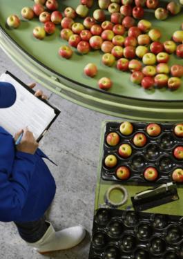 БЕЗОПАСНОСТЬ ПИЩЕВОЙ ПРОДУКЦИИ И КОРМОВ